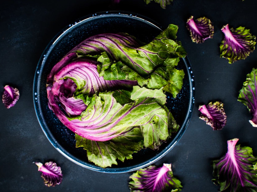 bowl of salad